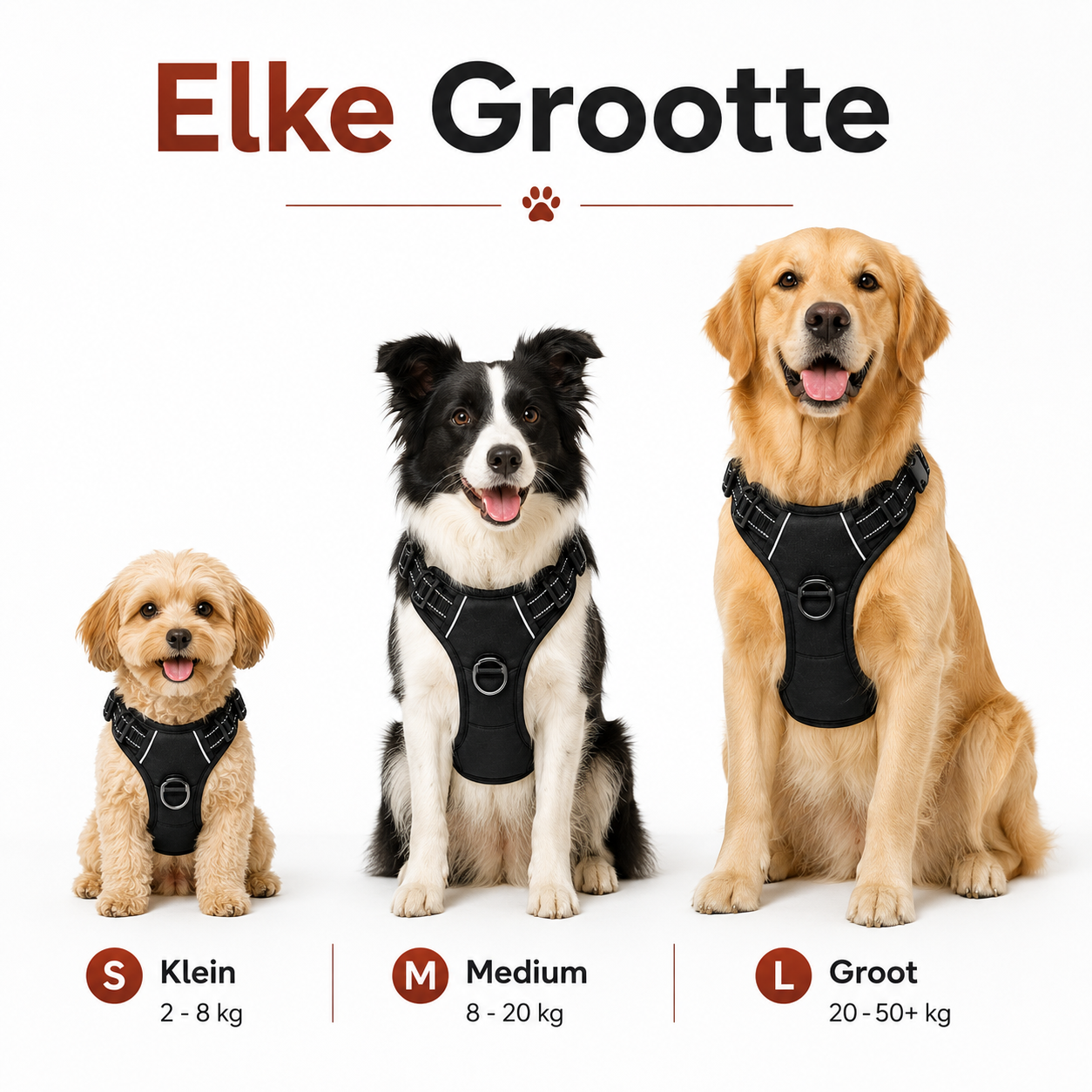 PawCare™ Honden Autoharnas