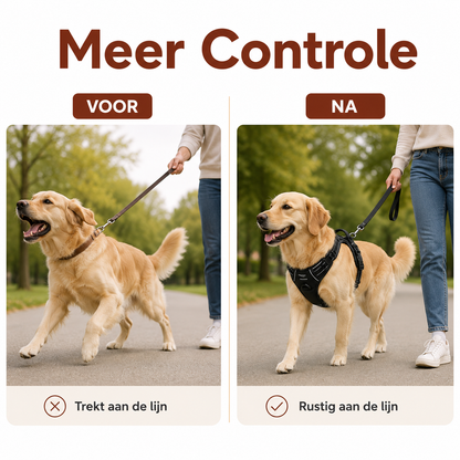 PawCare™ Honden Autoharnas