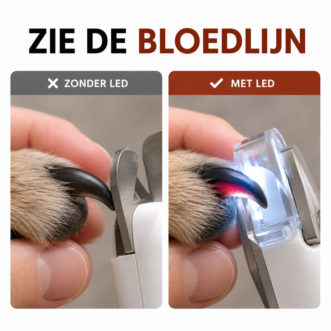 PawCare™ LED Nagelknipper