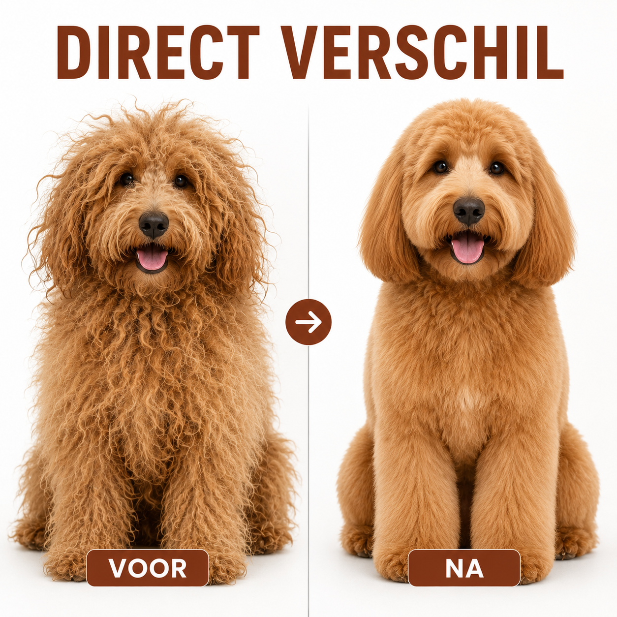 PawCare™ Stoomborstel voor Honden