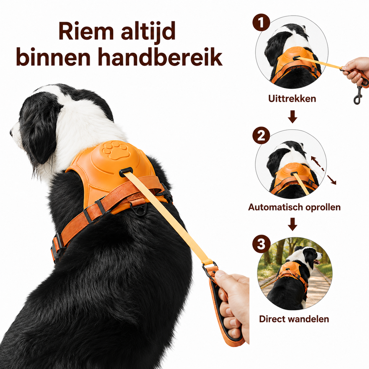 PawCare™ GlowGuard Harnas Pro