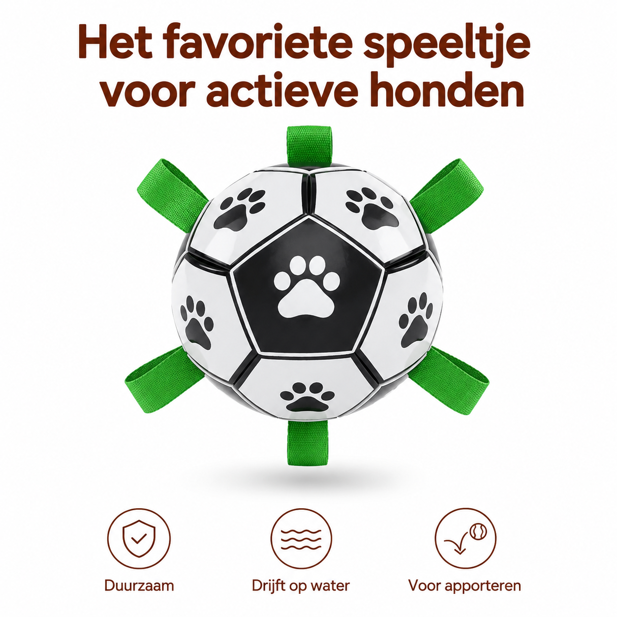 PawCare™ AquaFetch Bal