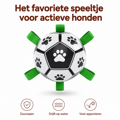 PawCare™ AquaFetch Bal