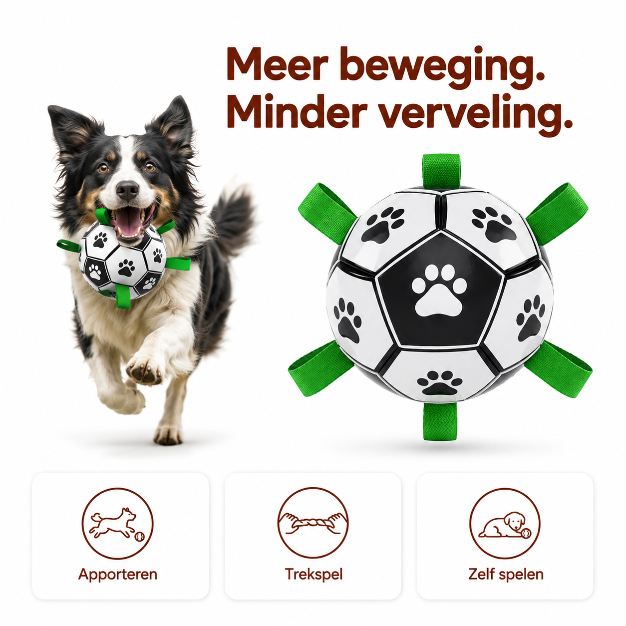 PawCare™ AquaFetch Bal