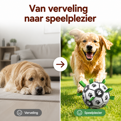 PawCare™ AquaFetch Bal