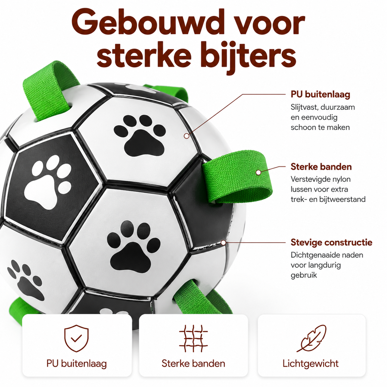 PawCare™ AquaFetch Bal