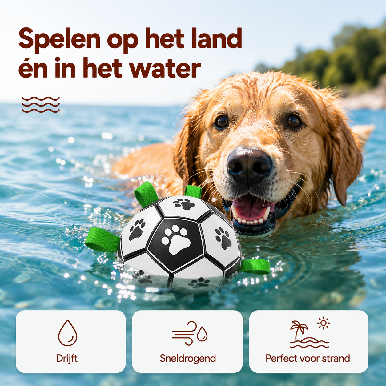 PawCare™ AquaFetch Bal