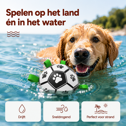 PawCare™ AquaFetch Bal