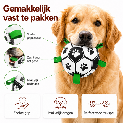 PawCare™ AquaFetch Bal