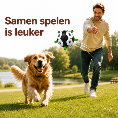PawCare™ AquaFetch Bal