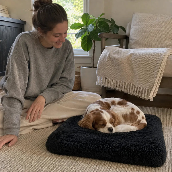 Sophie D.