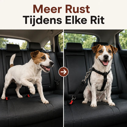 PawCare™ Honden Autogordel