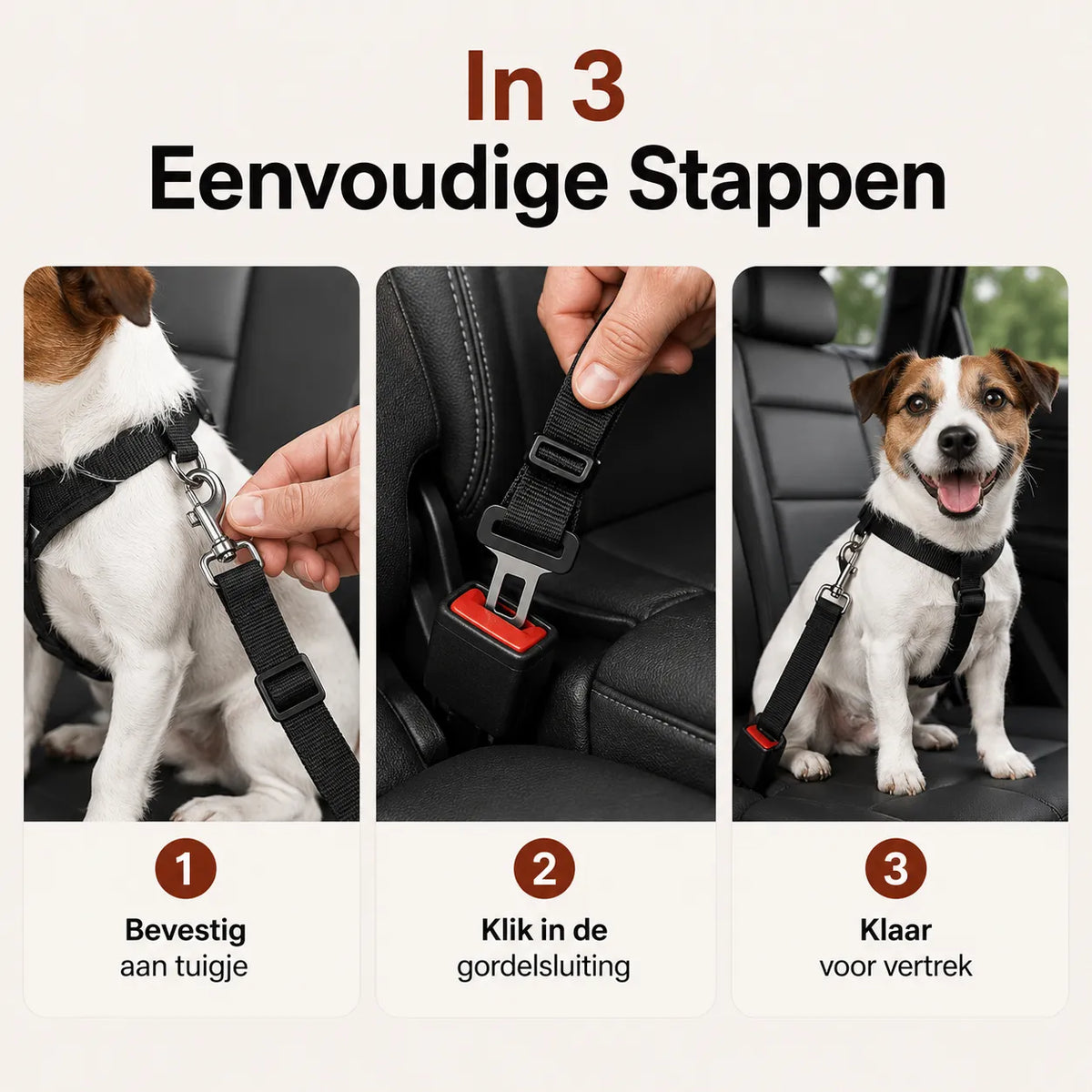 SafeBelt™ autogordel voor honden eenvoudig bevestigen