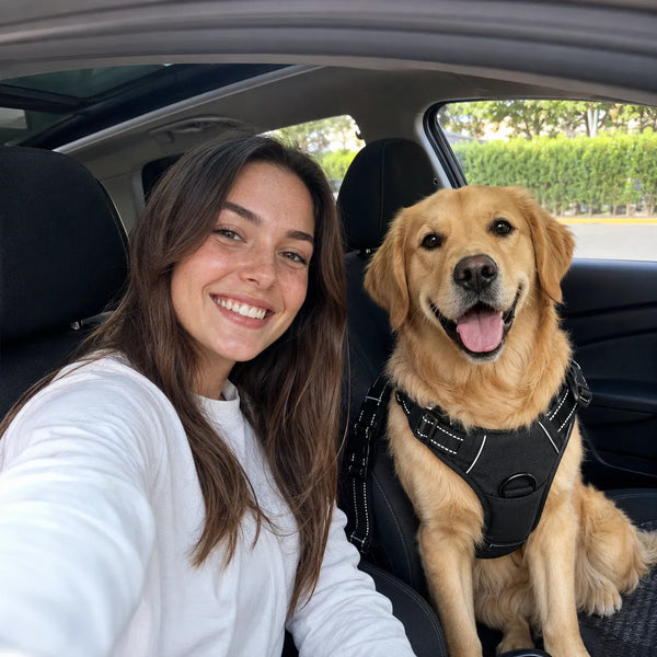 SafeRide review