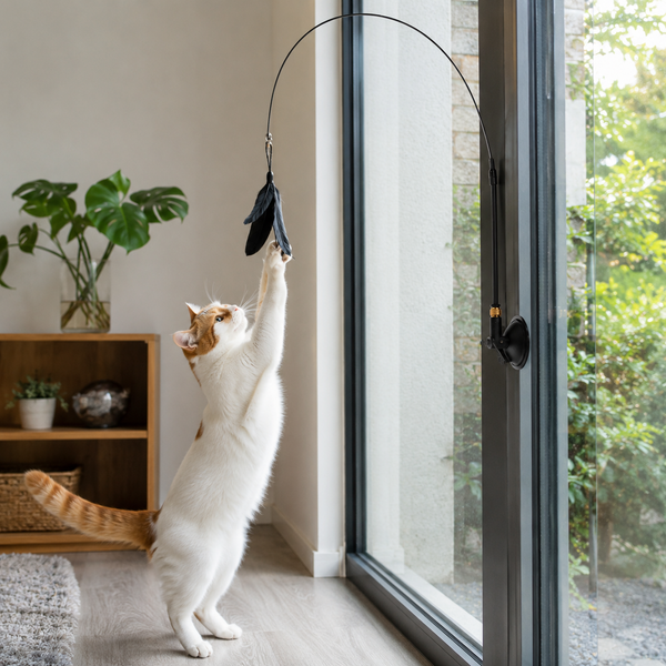 Kim uit Eindhoven