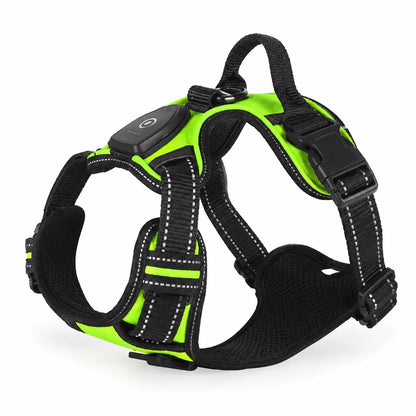 PawCare™ LumiSafe LED Hondenharnas