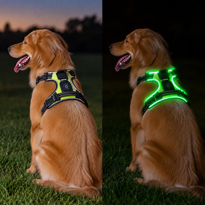 PawCare™ LumiSafe LED Hondenharnas