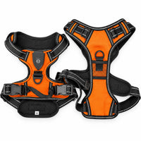 Oranje