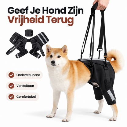 PawCare™ Mobility Harness