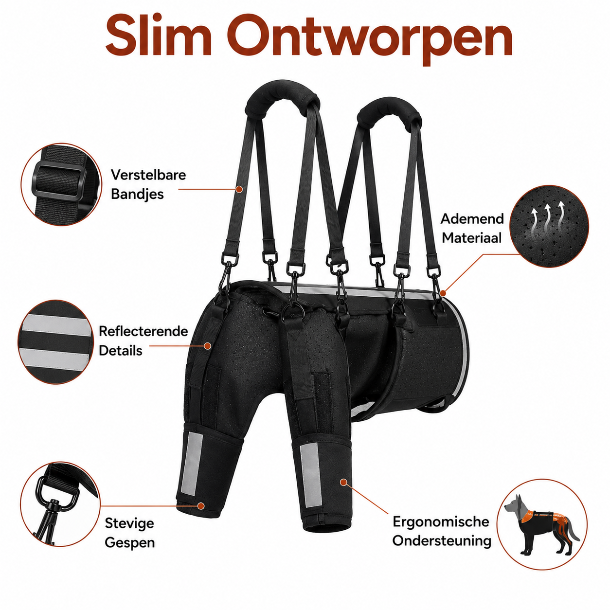 PawCare™ Mobility Harness