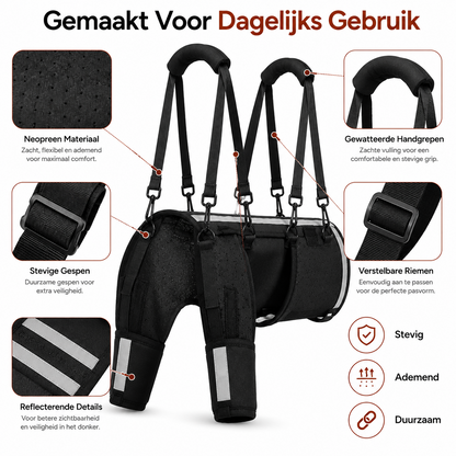 PawCare™ Mobility Harness