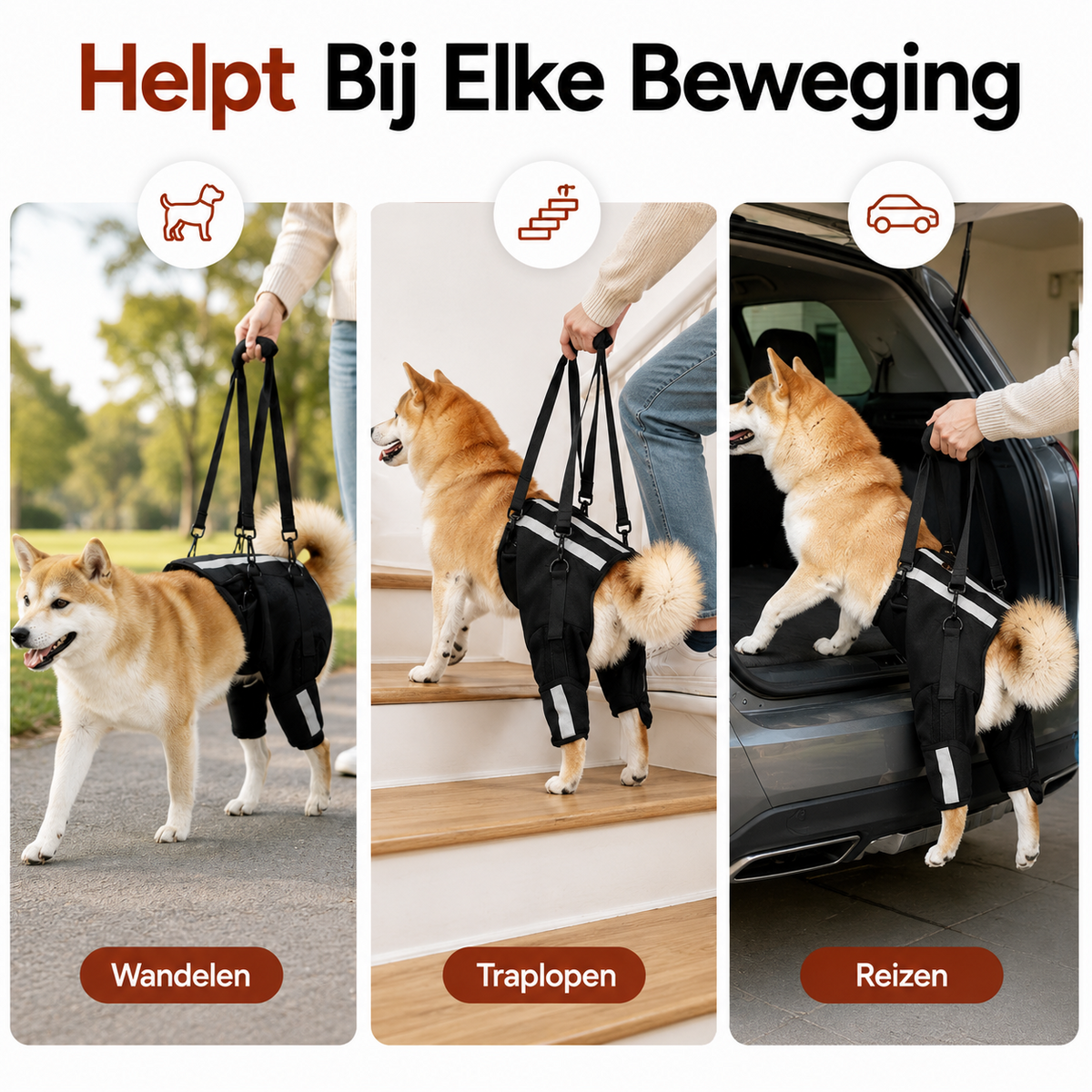 PawCare™ Mobiliteitsharnas