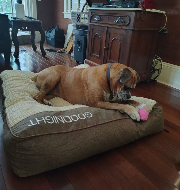 Esther review