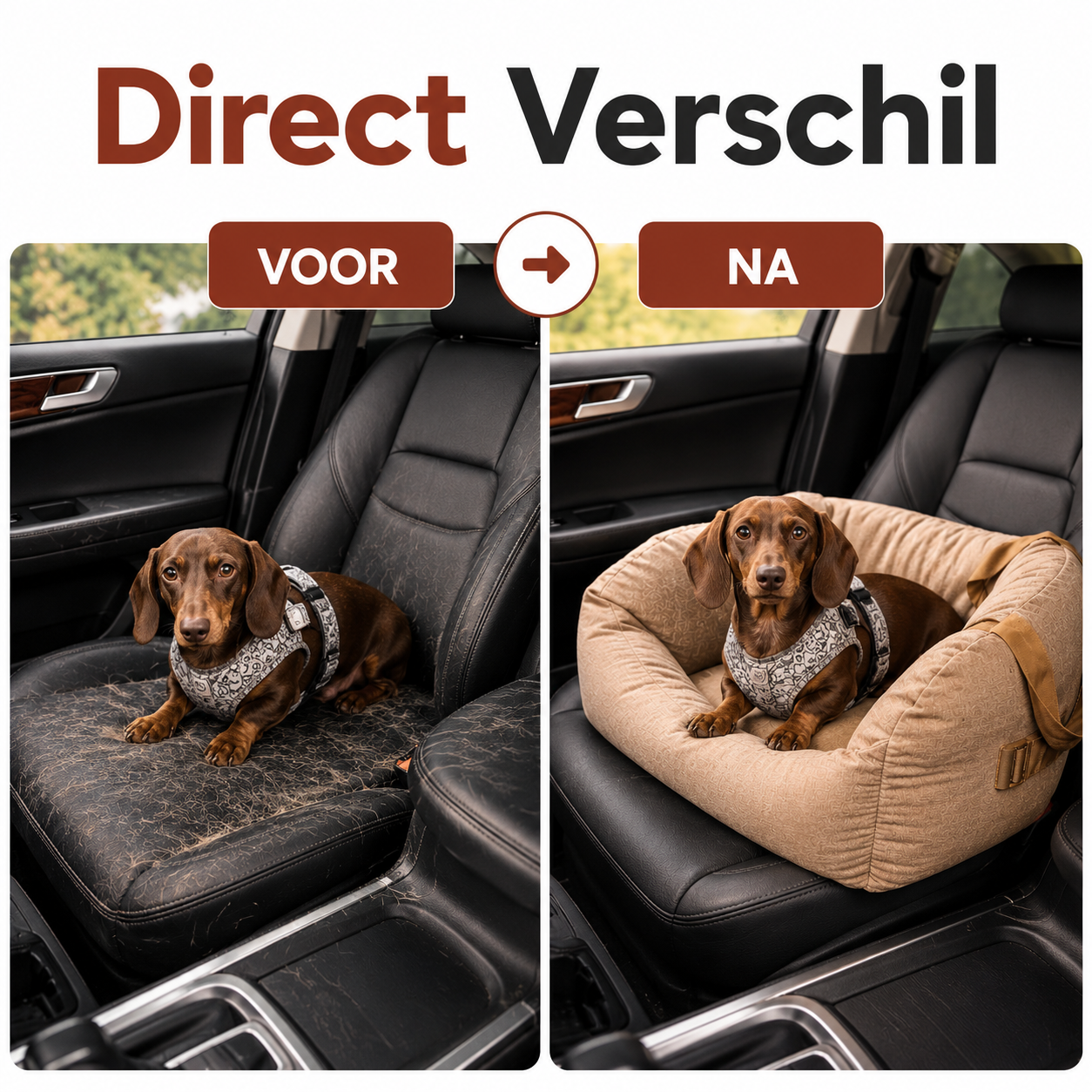 PawCare™ Honden Autostoel