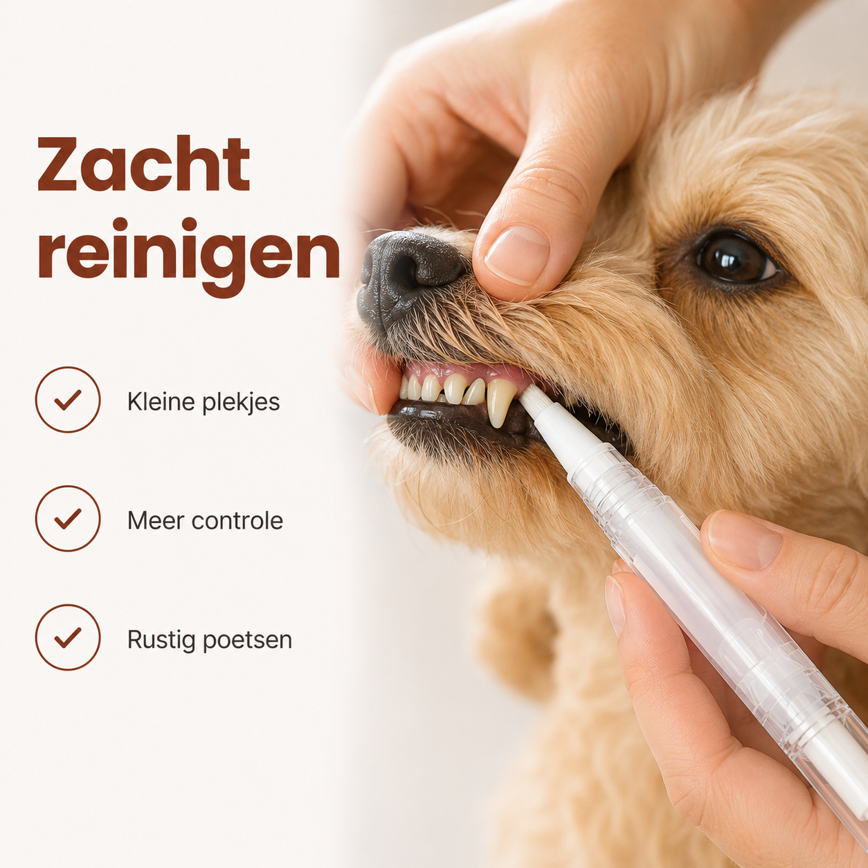 PawCare™ TandReiniger Pen