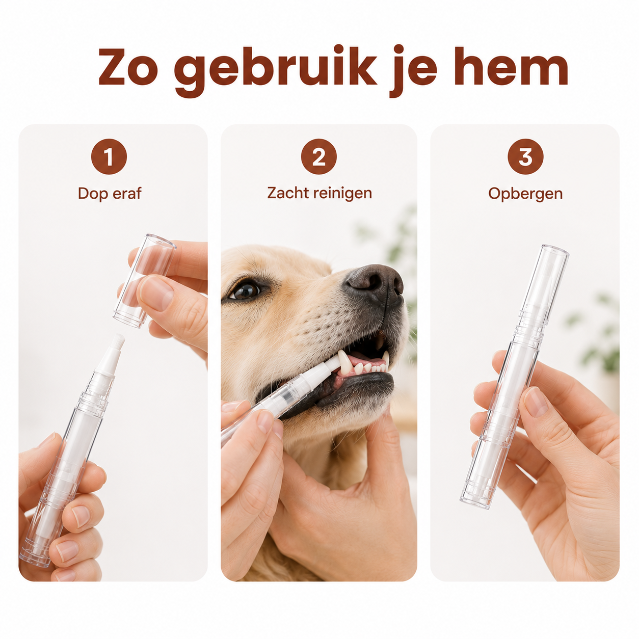 PawCare™ TandReiniger Pen