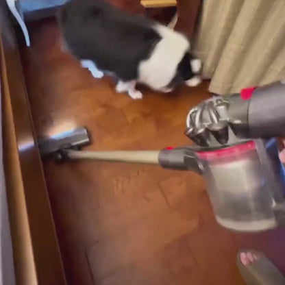 PawCare™ Hondentrimmer