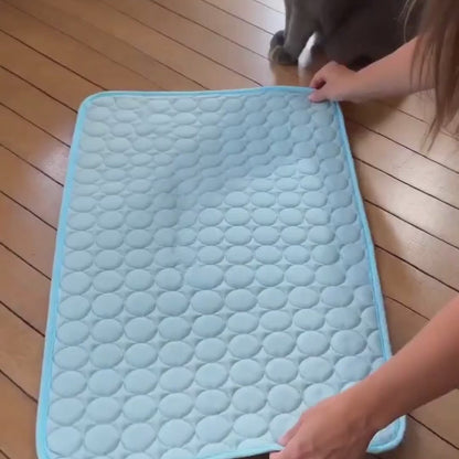 PawCare™ KoelMat Pro